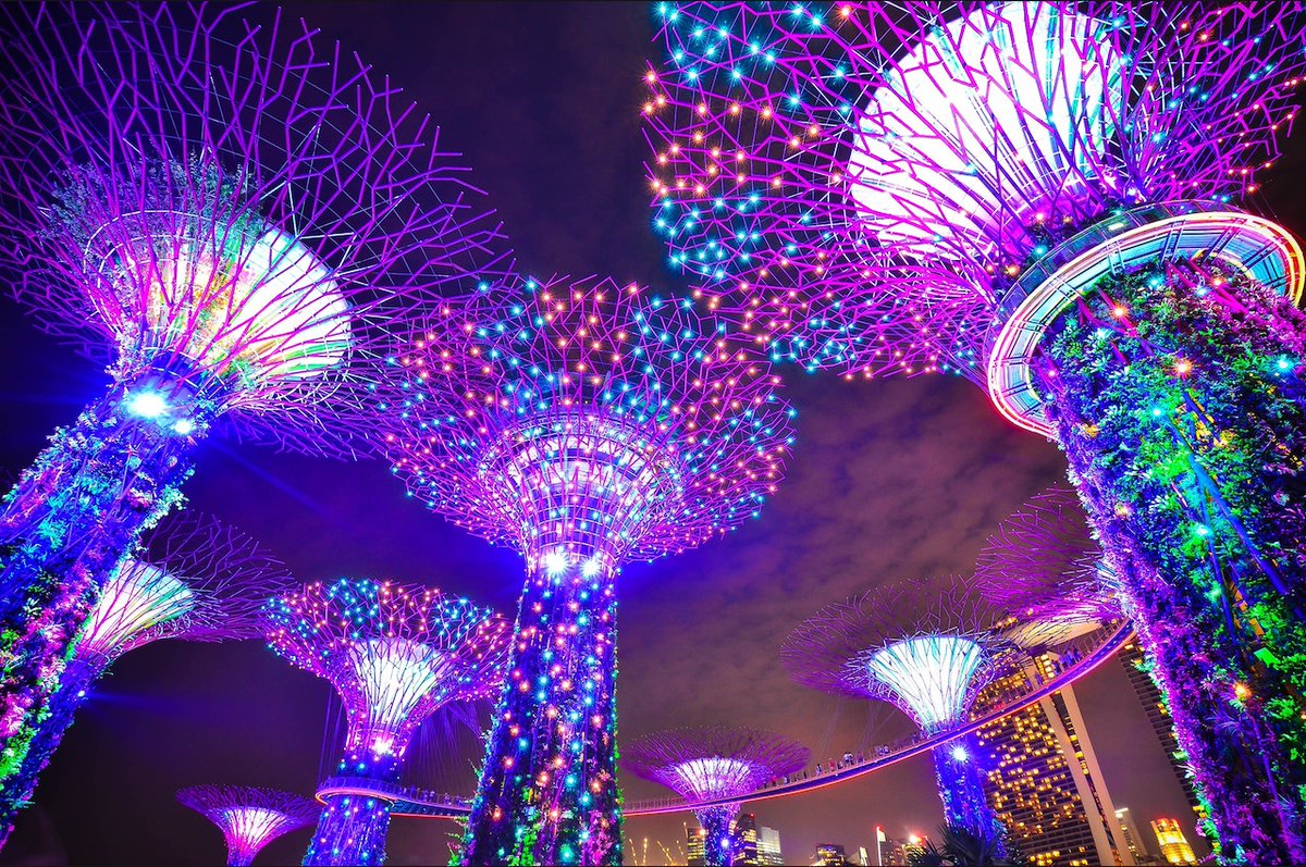 #ad Beautiful #Singapore #Gardens By The Bay #Review. CLICK Link Below
>>(( futureuniversetv.com/gardens-by-the… )) 

#travel #tourist #travelling #tourism #lights #Singaporean #review #traveler