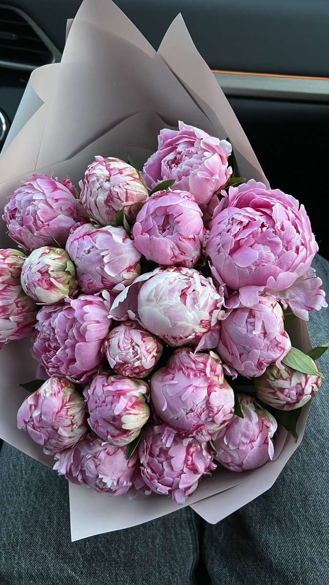 я Лика tweet media