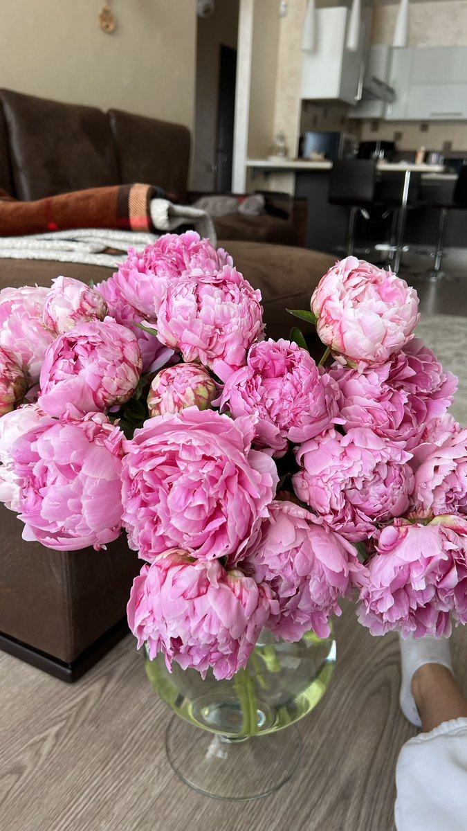 я Лика tweet media