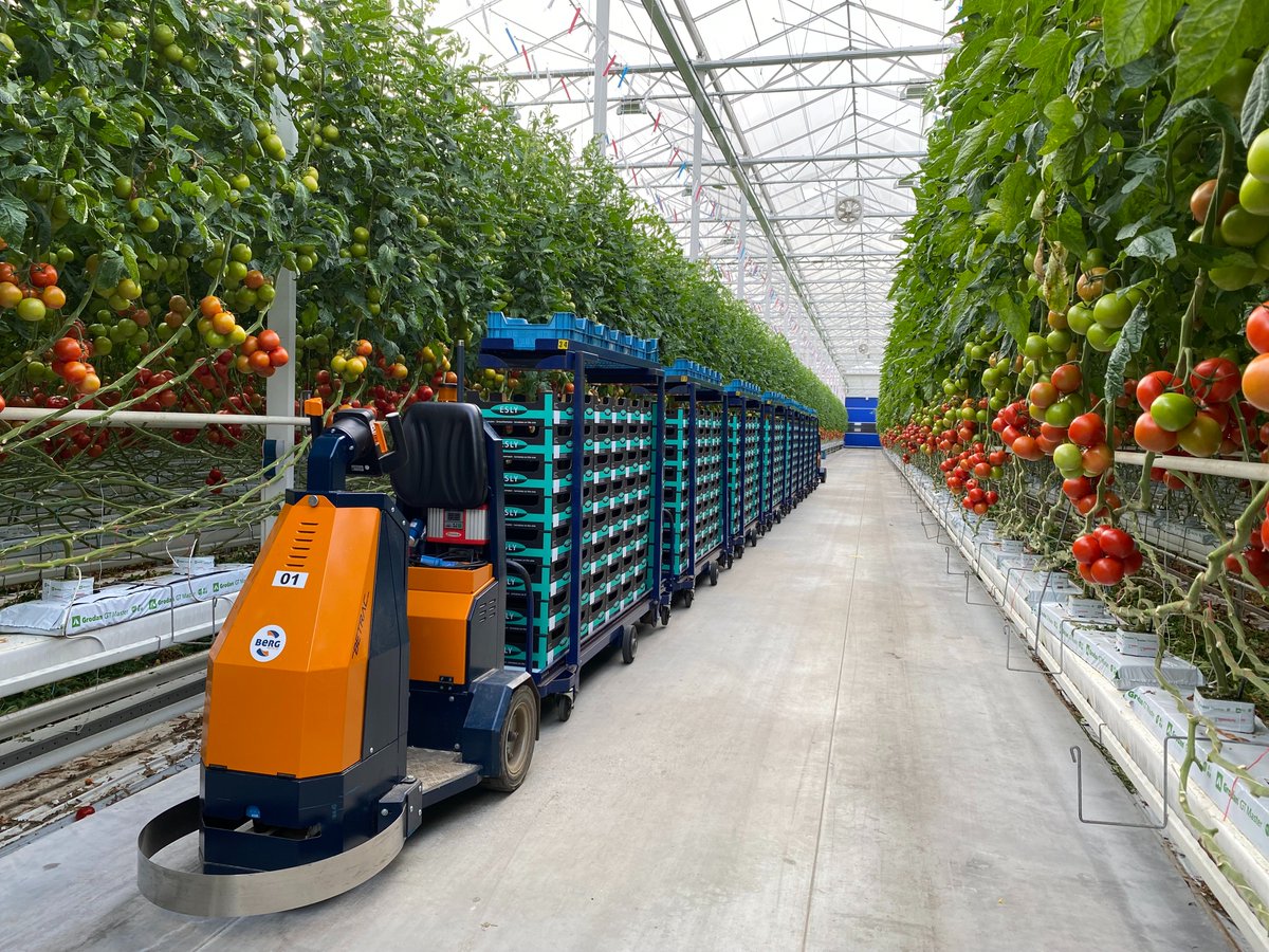groentennieuws.nl/article/953355…

#betrac #bemotion #elektrotrekker #arbeidbesparen #interntransport #tuinbouw #berghortimotive #royalbrinkman #younggrow