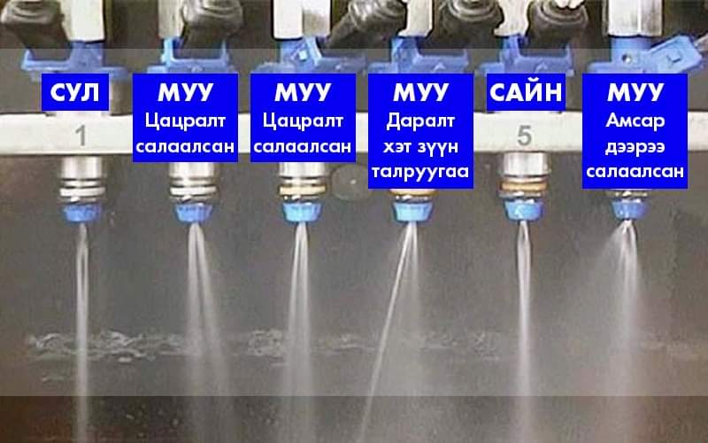 Өөрсдийнхөө яаж гарч байгааг ажиглаарай