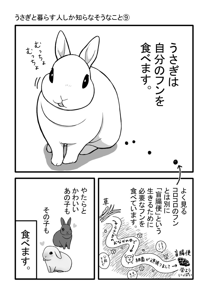 #今月描いた絵を晒そう   うさぎさん1枚だけでした🐇 うさぎさんの絵もっといっぱい描きたい…!