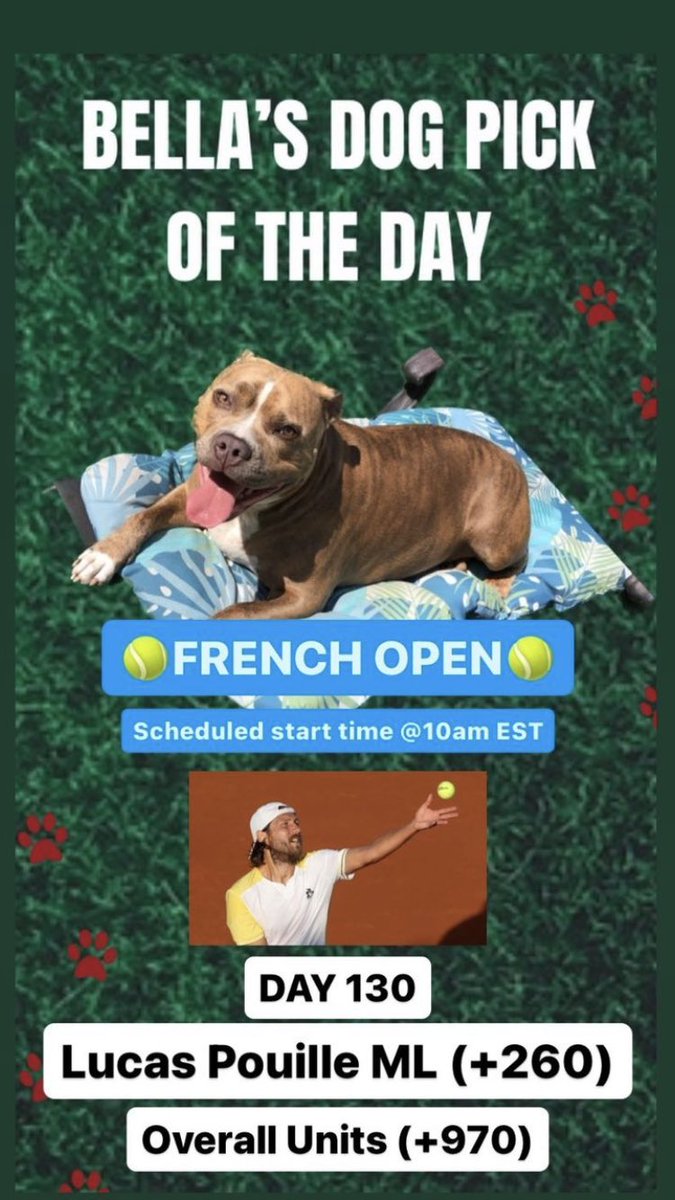 TheLocksOTD's tweet photo. 🐶BELLA'S DOG LOCK OTD🐶
‼️Overall Units +970‼️
🔥BELLA IS ON FIRE🔥
🎾French Open🎾
🐶Lucas Pouille ML (+260)
#Tennis #FrenchOpen #RolandGarros #Norrie #Bella #Dog #Dogs #DogBet #DogPicks #DogPic #TennisBets #TennisPicks #GamblingTwitter https://t.co/2EqaDVBxVJ