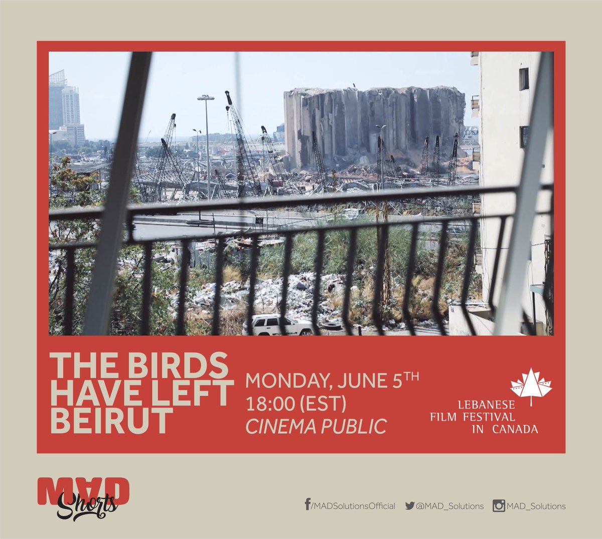 MADShorts's tweet photo. Canada here we come again! 🇨🇦
Our latest #MADShort THE BIRDS HAVE LEFT BEIRUT will be screened in the Lebanese Film Festival in Canada (@lffcanada)!
#MADShorts https://t.co/7IggC8uloV
