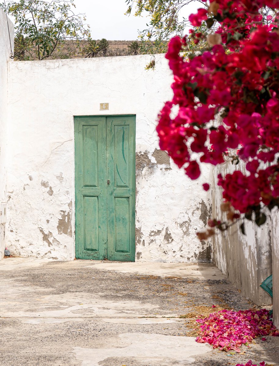Blogtrotteuse__'s tweet photo. C'est un plaisir d'arpenter les rues de Lanzarote, on n'est jamais au bout de ses surprises...

https://t.co/uj8Oy63A9N https://t.co/sCd9Cm7yxu