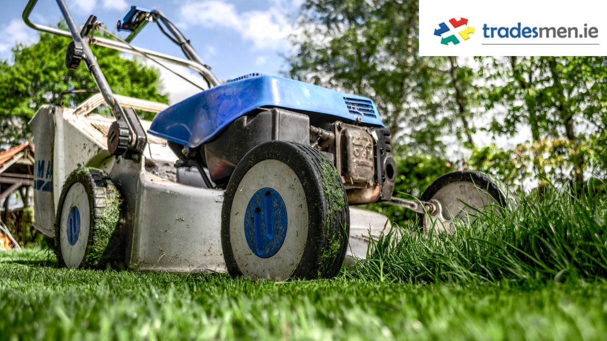 Grass cutting c 5 acre Tullamore Tullamore Offaly
tradesmen.ie/jobs/grass-cut…
Grass cutting job/tidy up, c.0.5 acre, grass has gotten high, but can be completed with tractor mower.
Budget: €100 - No limit set
#tradesmenie #garden #grass