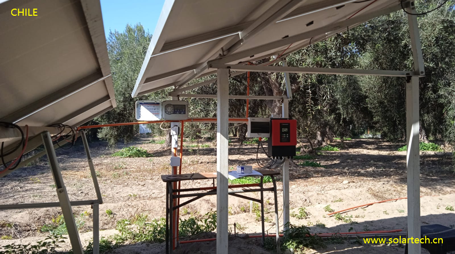 Solartech precise irrigation system was successfully installed for olive trees in Chile. #preciseirrigation #Chile #olivetrees #solarirrigation