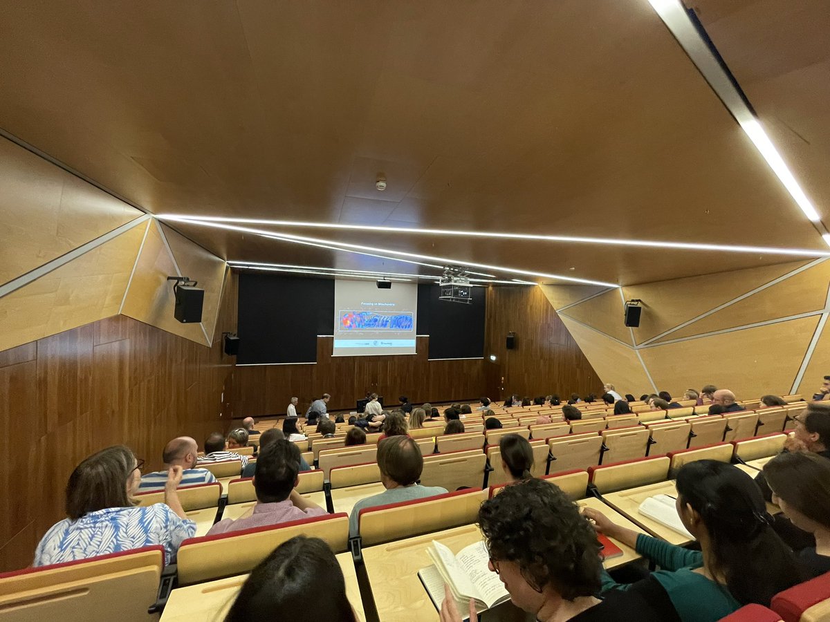 CRC_1218's tweet photo. ☀️Sun is shining for our next #MitoClub! Welcome #StefanJakobs @JakobsLab from @mpi_nat! #mito #crc1218 #mitortg @CECAD_ @mpiage https://t.co/jzUnlEH4nY