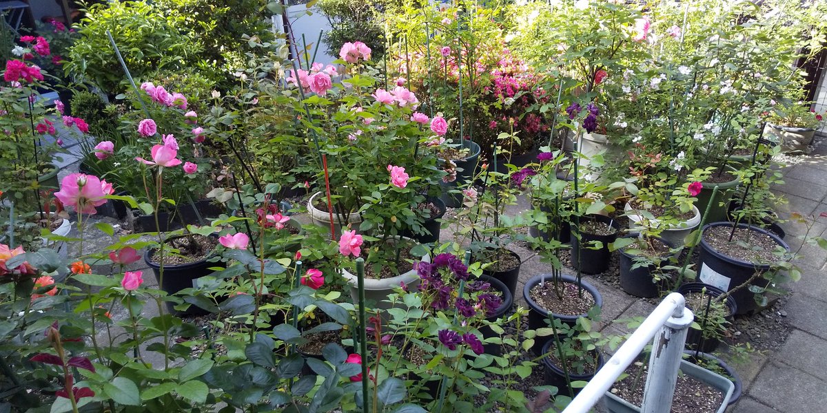 LIGHT_HOUSE1990's tweet image. 楽しんでいます～