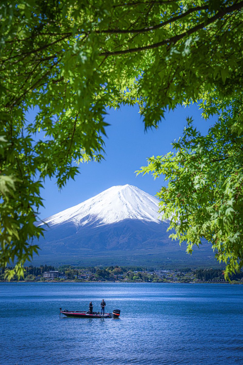 爽やかな新緑の中で🍃