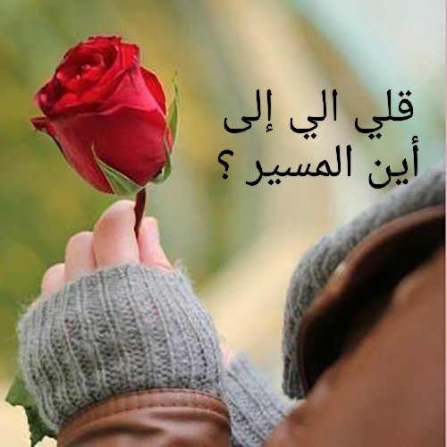 Aub Naser (@aubnaser1) on Twitter photo 