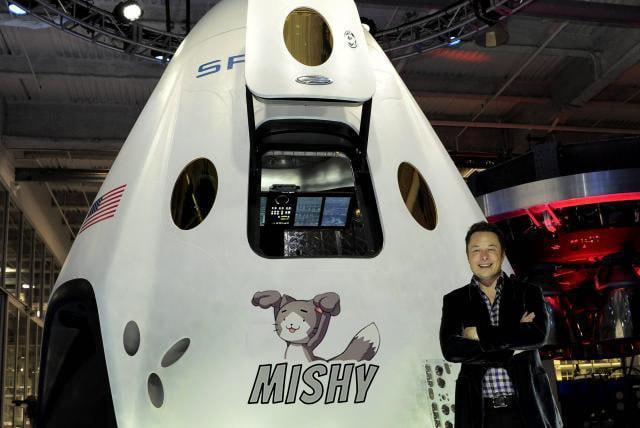 MishyCoin's tweet photo. We hope everyone is ready for the $MISHY rocket that is about to fly!

$BIAO $PEPE $MONG $TUZKI https://t.co/Z6JWXlKilt