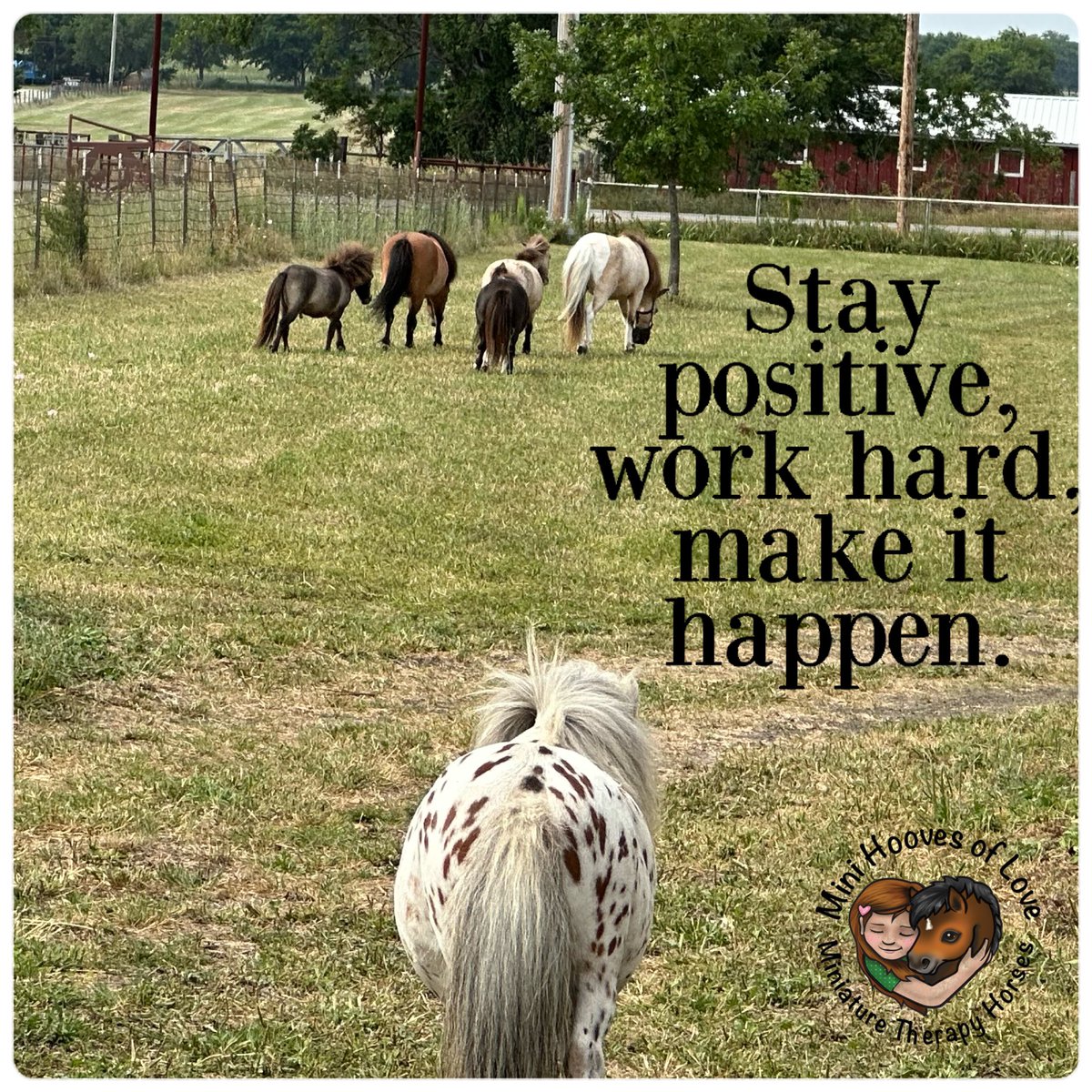 MINI HOOVES OF LOVE tweet media