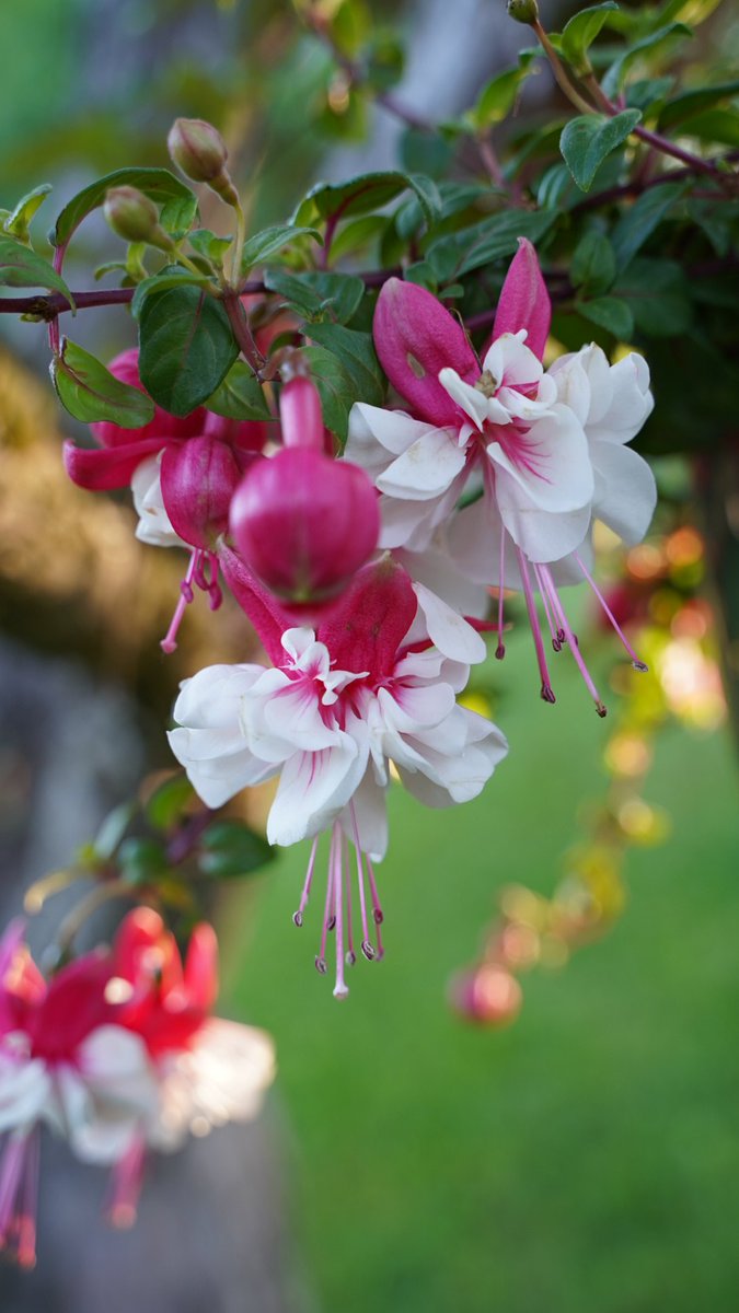 Rachel Clark tweet media