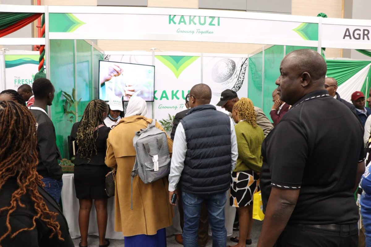 Kakuzi_Plc's tweet photo. Team Kakuzi is thrilled to meet each and every one of you. We are excited to share our knowledge and showcase our avocados. Don't hesitate to join us at Stand No. 8! 🌟🥑
#KakuziPLC #Kakuzi #AfricanAvocadoCongress #KenyanAvocado https://t.co/HNYB4ZScrl