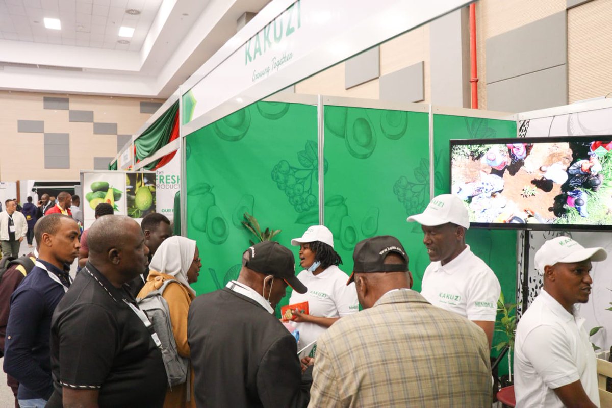 Kakuzi_Plc's tweet photo. Team Kakuzi is thrilled to meet each and every one of you. We are excited to share our knowledge and showcase our avocados. Don't hesitate to join us at Stand No. 8! 🌟🥑
#KakuziPLC #Kakuzi #AfricanAvocadoCongress #KenyanAvocado https://t.co/HNYB4ZScrl