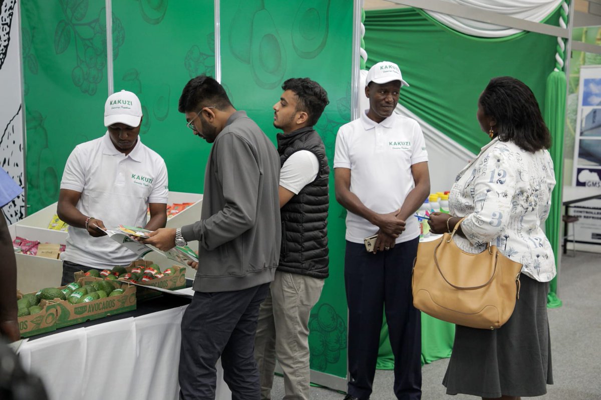 Kakuzi_Plc's tweet photo. Team Kakuzi is thrilled to meet each and every one of you. We are excited to share our knowledge and showcase our avocados. Don't hesitate to join us at Stand No. 8! 🌟🥑
#KakuziPLC #Kakuzi #AfricanAvocadoCongress #KenyanAvocado https://t.co/HNYB4ZScrl