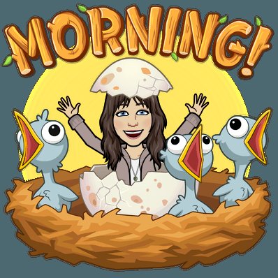 Rachel Clark tweet media