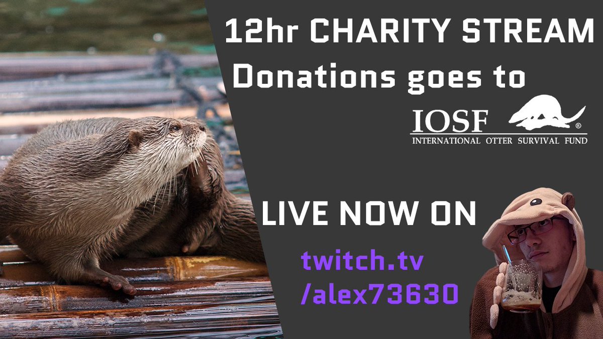 alex73630's tweet photo. 🔴LIVE ON TWITCH 🔴

Today is @IOSF #WorldOtterDay !

Join me live for a 12 HOURS CHARITY STREAM!

Click here: 👉 https://t.co/khpcam9HXO 👈

All the proceeds are going directly towards @IOSF ! https://t.co/6kIP3CMieE
