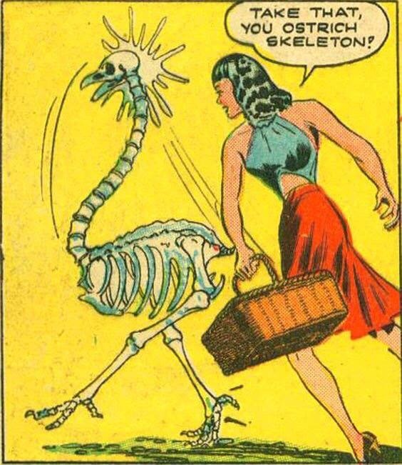 The Museum of Curiosities (@curiosmuseum) on Twitter photo 