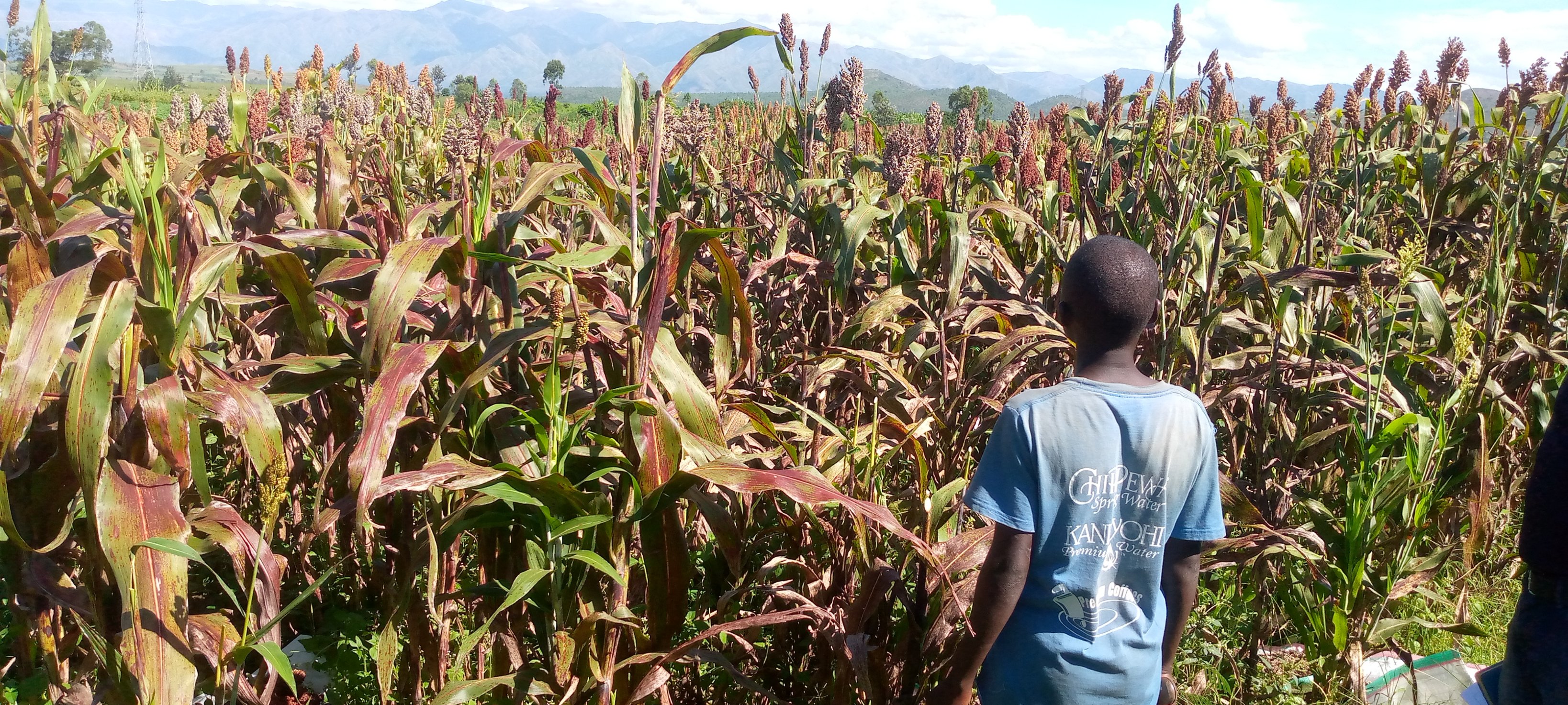 ISABU (isabu_officiel) / Twitter