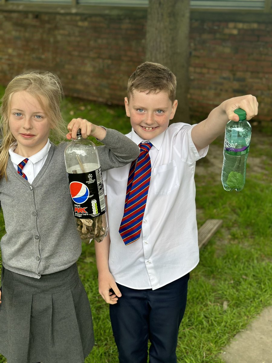 P3 and P4 tweet media