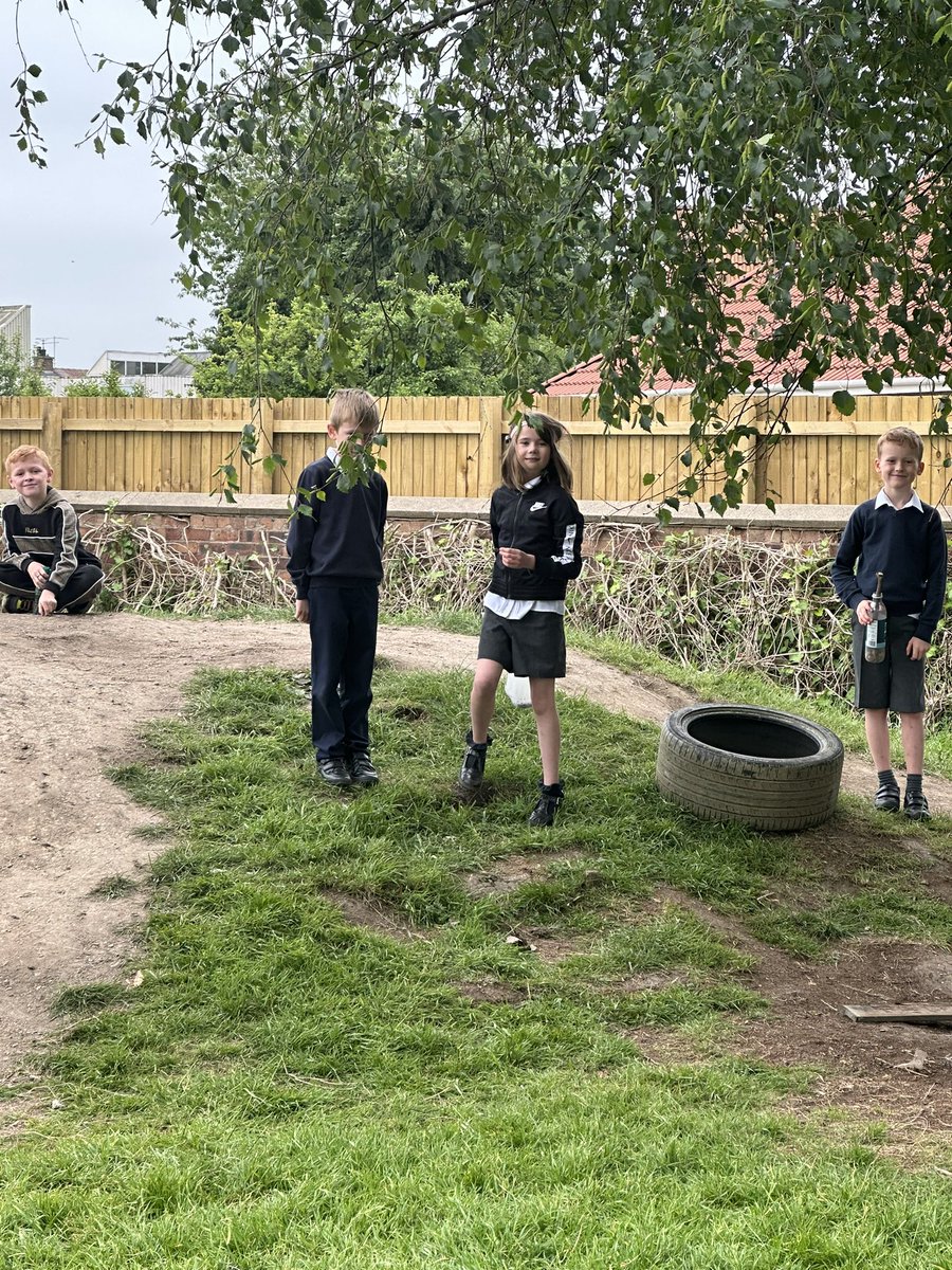 P3 and P4 tweet media