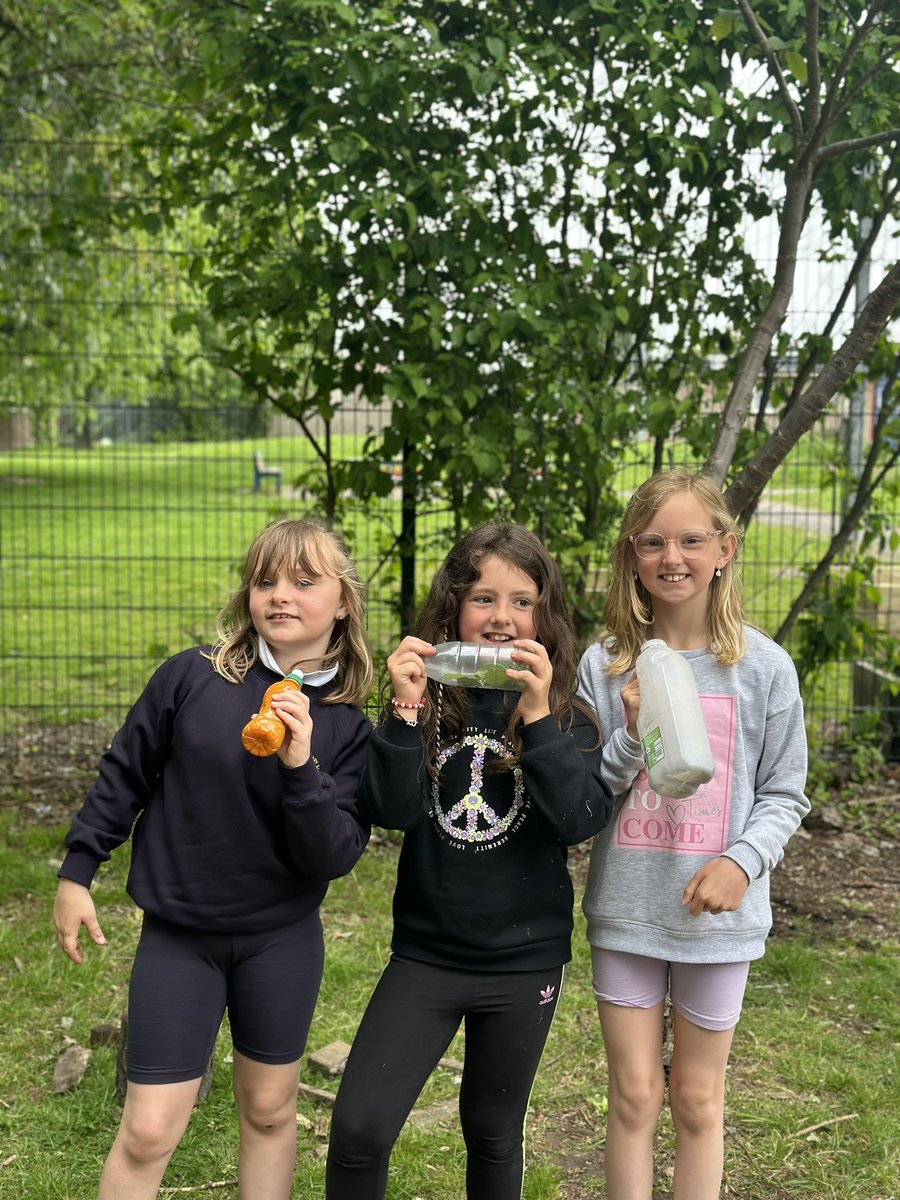 P3 and P4 tweet media