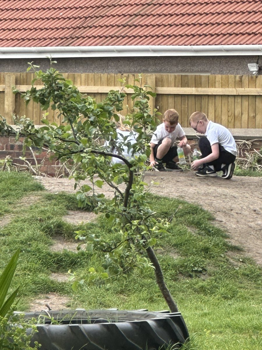 P3 and P4 tweet media