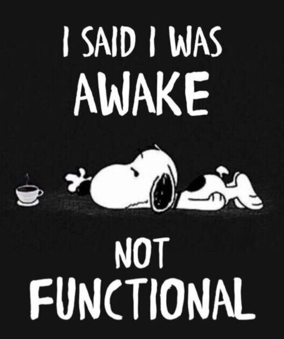 Big Cat (@barstoolbigcat) on Twitter photo 