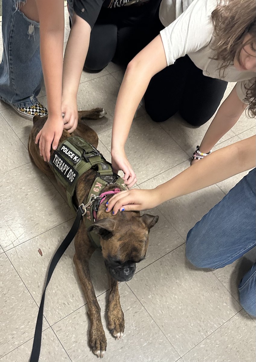 USFPDTampa's tweet photo. A few nice pics to share as we close out the month and head into summer. Check out K9 Bailey sending off students &amp; staff from Pizzo Elementary with a lot of love! Enjoy the summer &amp; stay safe! #USFPD #USFPDK9 https://t.co/xmCYoIAs13