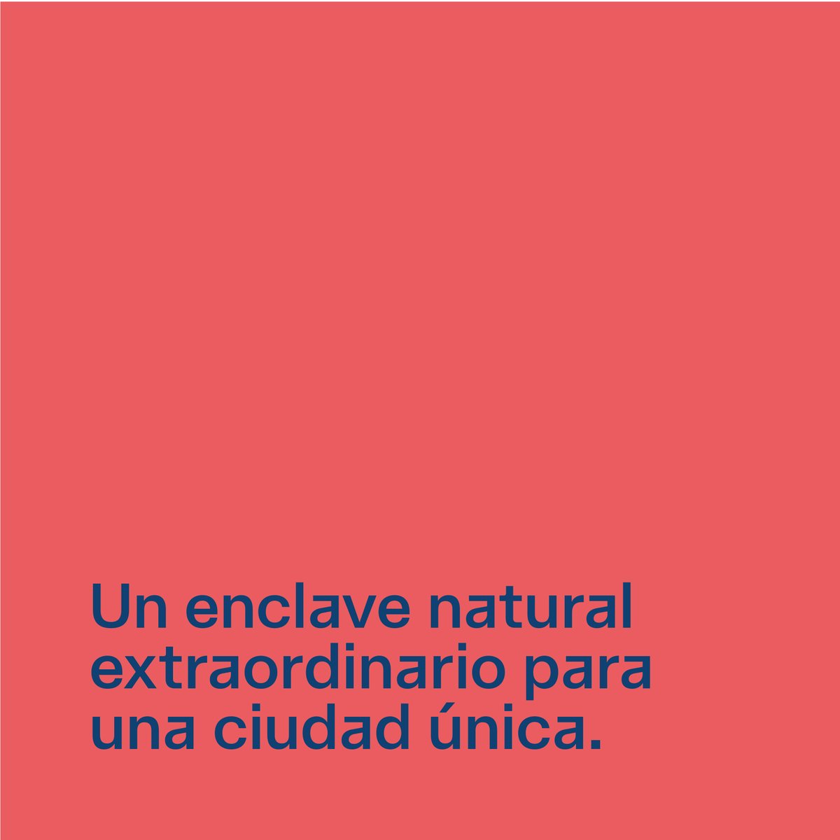 HuelvaOriginal's tweet photo. Un enclave natural extraordinario para una ciudad única que podría aspirar a la capitalidad verde.

#NaturalezaOriginal
#huelvaoriginal https://t.co/o7DetCunKB