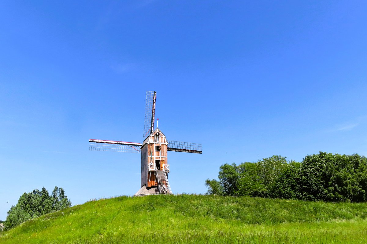 #vrtweer De molen aan de gavers in Harelbeke onder een wolkenloze hemel om 11.30 bij 16°C.Foto van Paul De Langhe uit Waregem op 31/05/2023.grtn Paul.