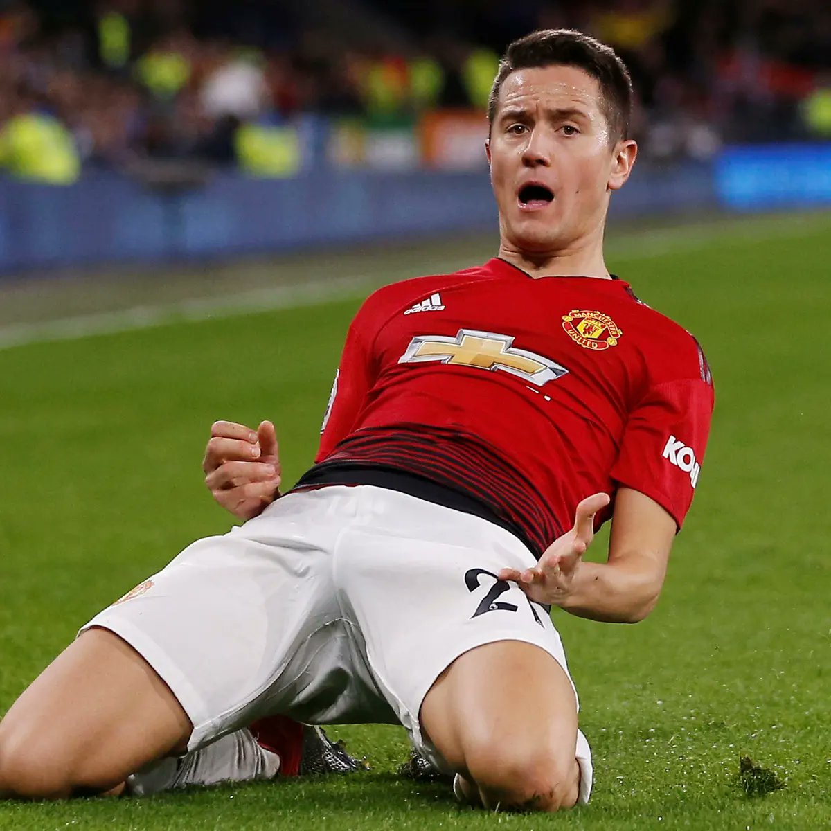 Manchester United World tweet media