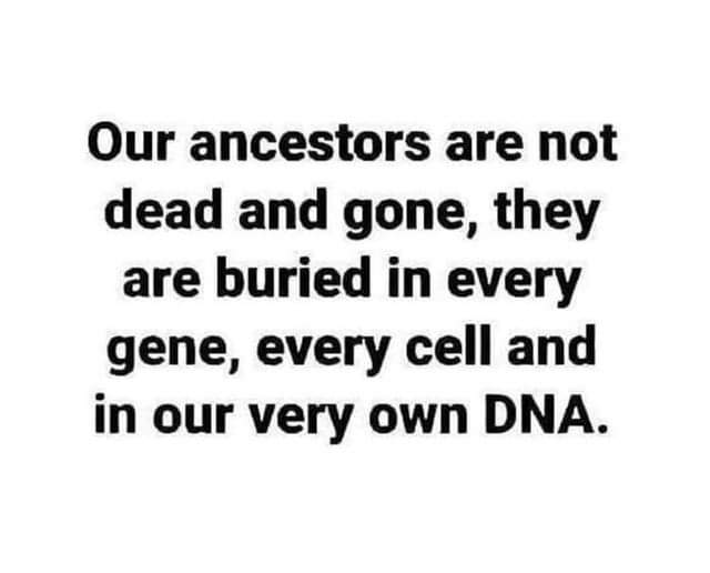 EllenKriebel's tweet photo. #DNA #geneticgenealogy https://t.co/OaZ7jEtXOG