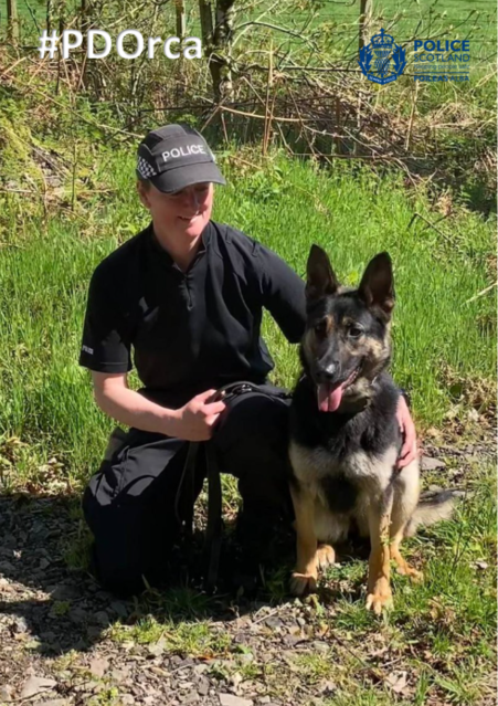 PSOSDogs's tweet image. A great team result last night. After a 79-year-old man with dementia was reported missing, #PDOrca, #S320, @PSOSAir,  @PSOSWestLothian &amp;amp; @polscotcontrol were called to help. He was found in woodland and is now being cared for.

ow.ly/qIrV50OAoxW

#TeamWork
#HerbertProtocol