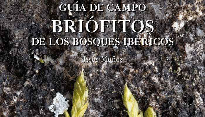 Membalse2015's tweet photo. 📗Guía para distinguir en el campo algunas de las especies de musgos y hepáticas más comunes
"Esta publicación acerca los briófitos al público general como un proyecto más de #cienciaciudadana"
@CSIC @RJBOTANICO 
🔎https://t.co/Rsyx1sLEEo https://t.co/eMHN43j1gE