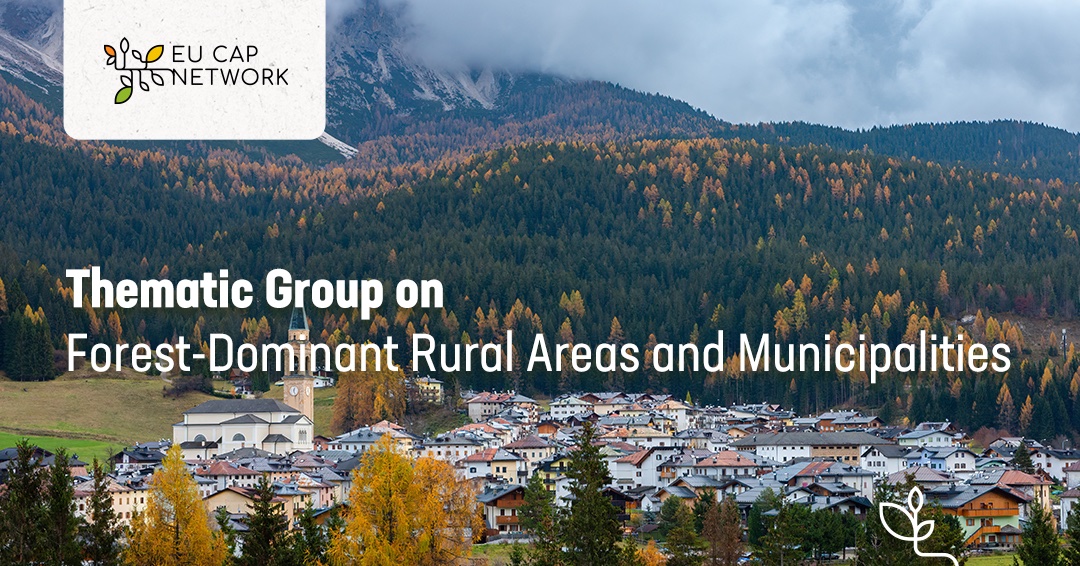We kick off the 2nd meeting of our Thematic Group on #EUForests in #RuralAreas & Municipalities!🌳

Participants will:

👉 Discuss how to address needs in partnership
👉 Explore how #CAP can support them
👉 Discuss how to continue networking  

Stay tuned: bit.ly/tg2Forest