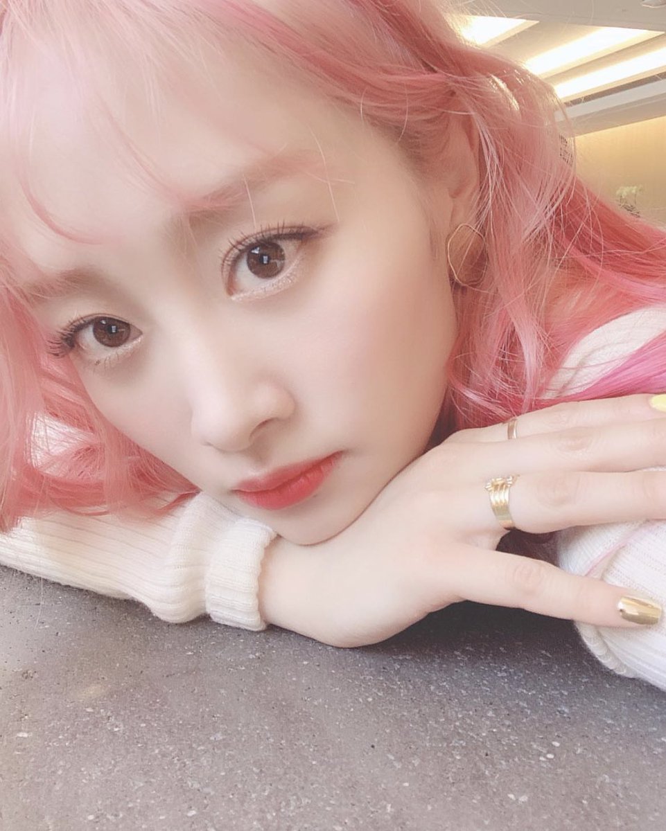 레나 tweet media