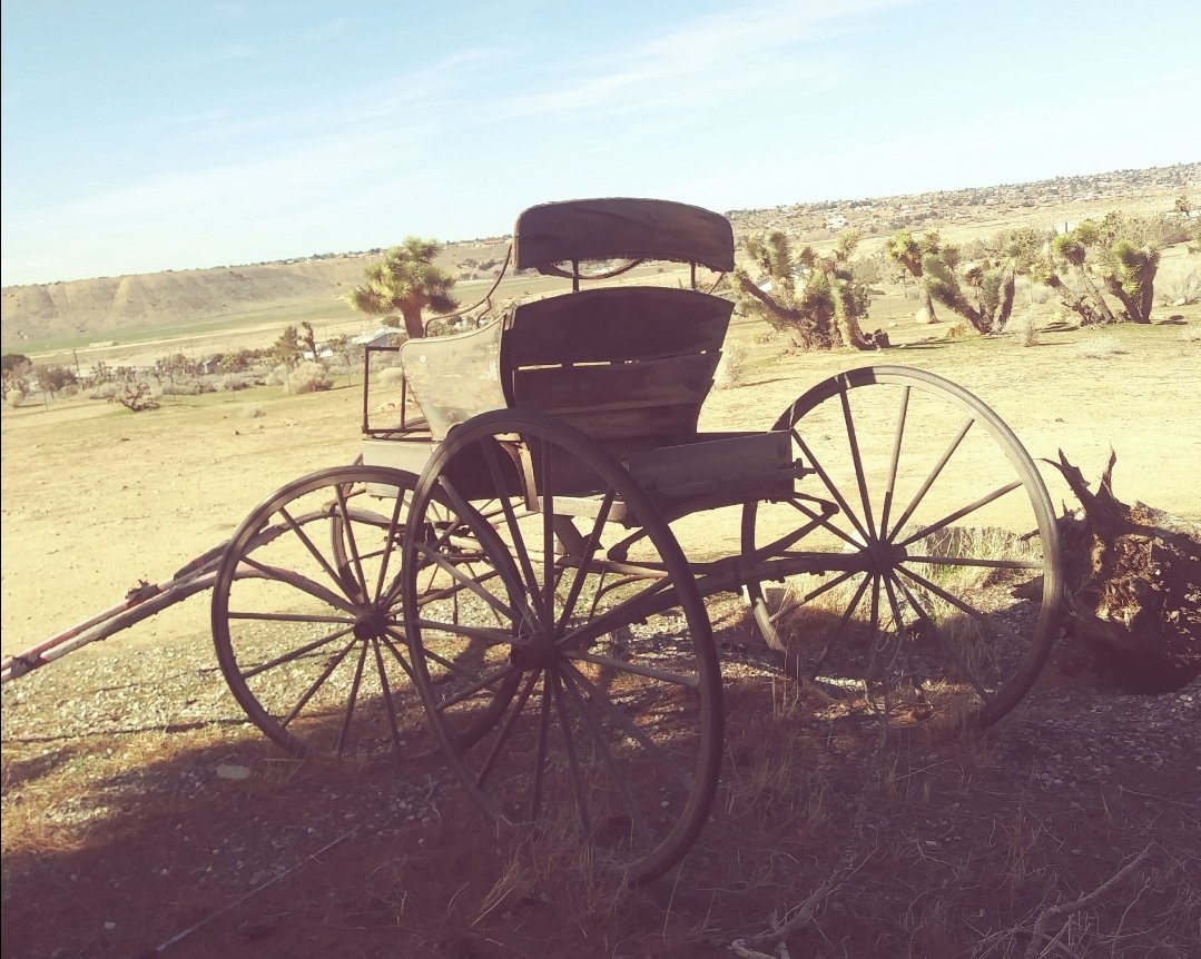 Old fastened Carrier