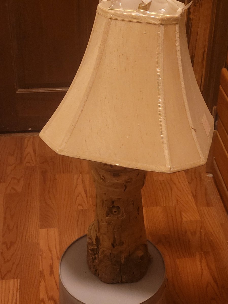 A natural Lamp I made