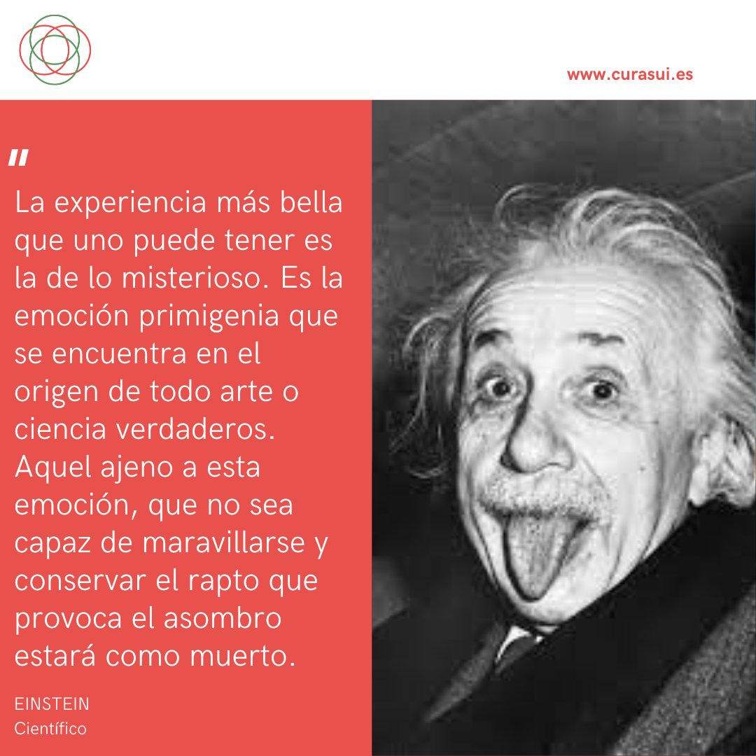 #filosofía #autoconocimiento #curasui #curasumundi #acompañamiento #pensamientocrítico #acompañamientofilosofico #filosofiaaplicada