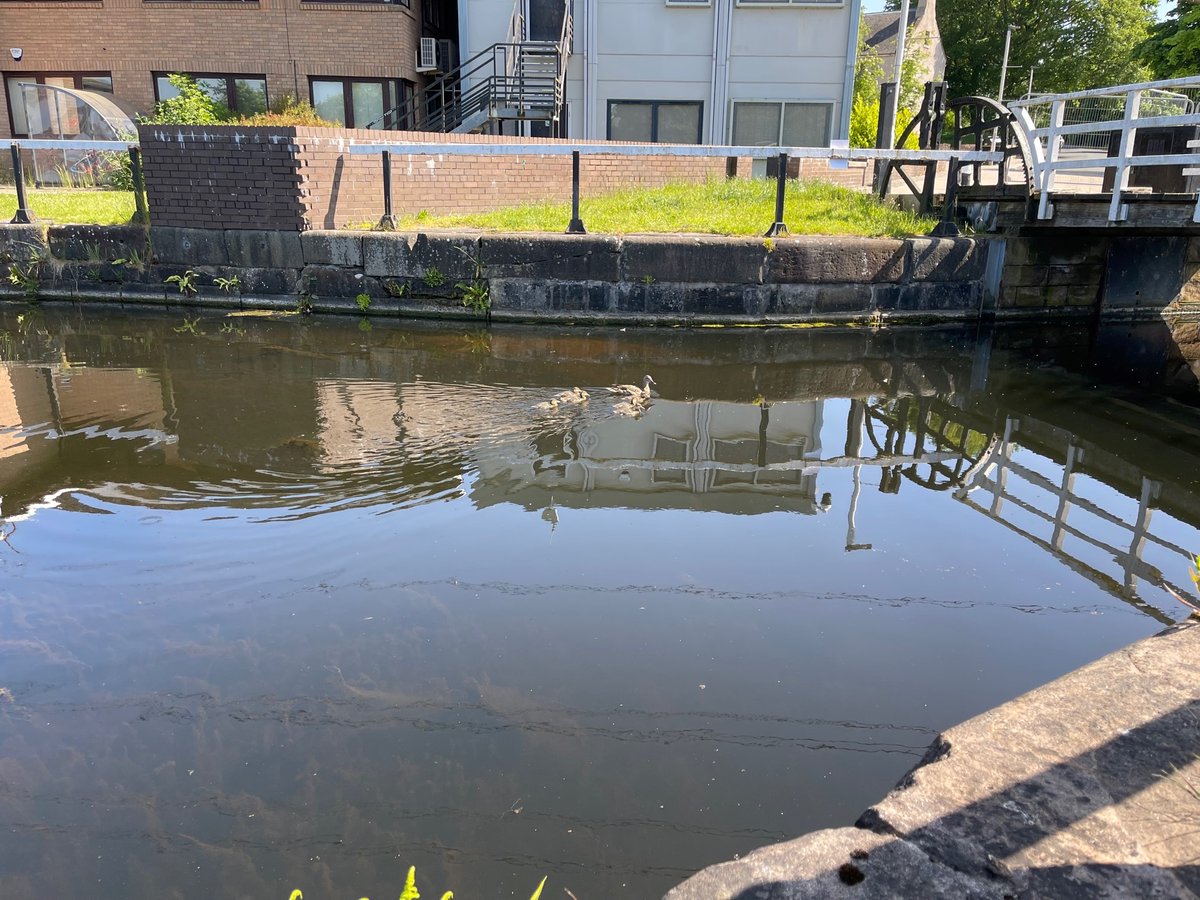 Scottish Canals tweet media