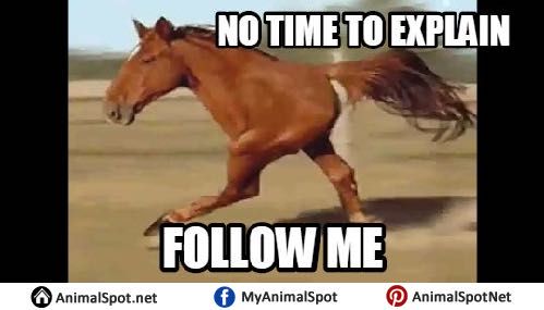 Just hit the follow button #IPL2023Finals #LoveIsland #tedlassospoilers #BLACKPINK #fypシ #France