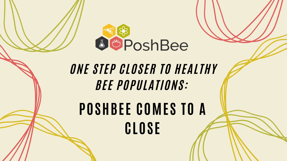 PoshBee Project tweet media