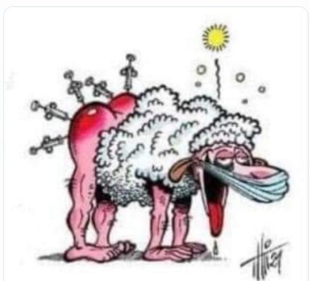 Zinzin2lSpace's tweet photo. @UPR_Asselineau #Macron, ses maîtres, et leurs sous-fifres feront tout pour se maintenir au pouvoir et piller la #France.
La #Censure n'est qu'un outil parmi d'autres.
Le problème est que le peuple de moutons ne se rendra compte de rien tant qu'il ne sera pas à l'abattoir. https://t.co/P6M8zFM4ez