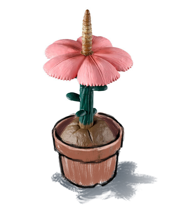 no humans still life flower plant simple background flower pot white background  illustration images