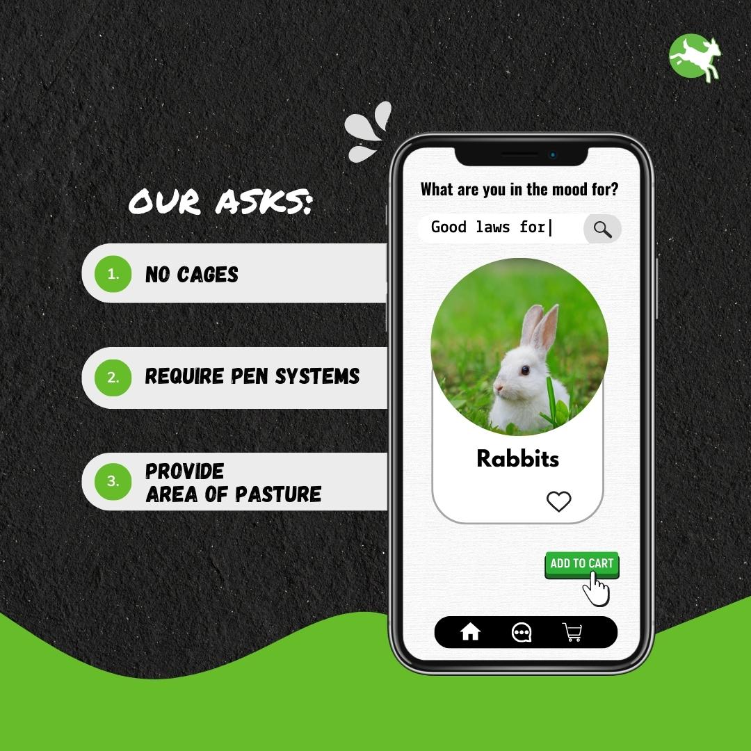CIWF_EU's tweet photo. Cages for rabbits are not acceptable✖️
They prevent rabbits from
➡️lying stretched out
🐇standing with their ears up
🌿exploring
➡️This results in aggression & severe injuries
We call on the EU to ensure #GoodLawsDelivery for🐰!
More info: https://t.co/WTsVDvTIDi https://t.co/13ulI9iPCW