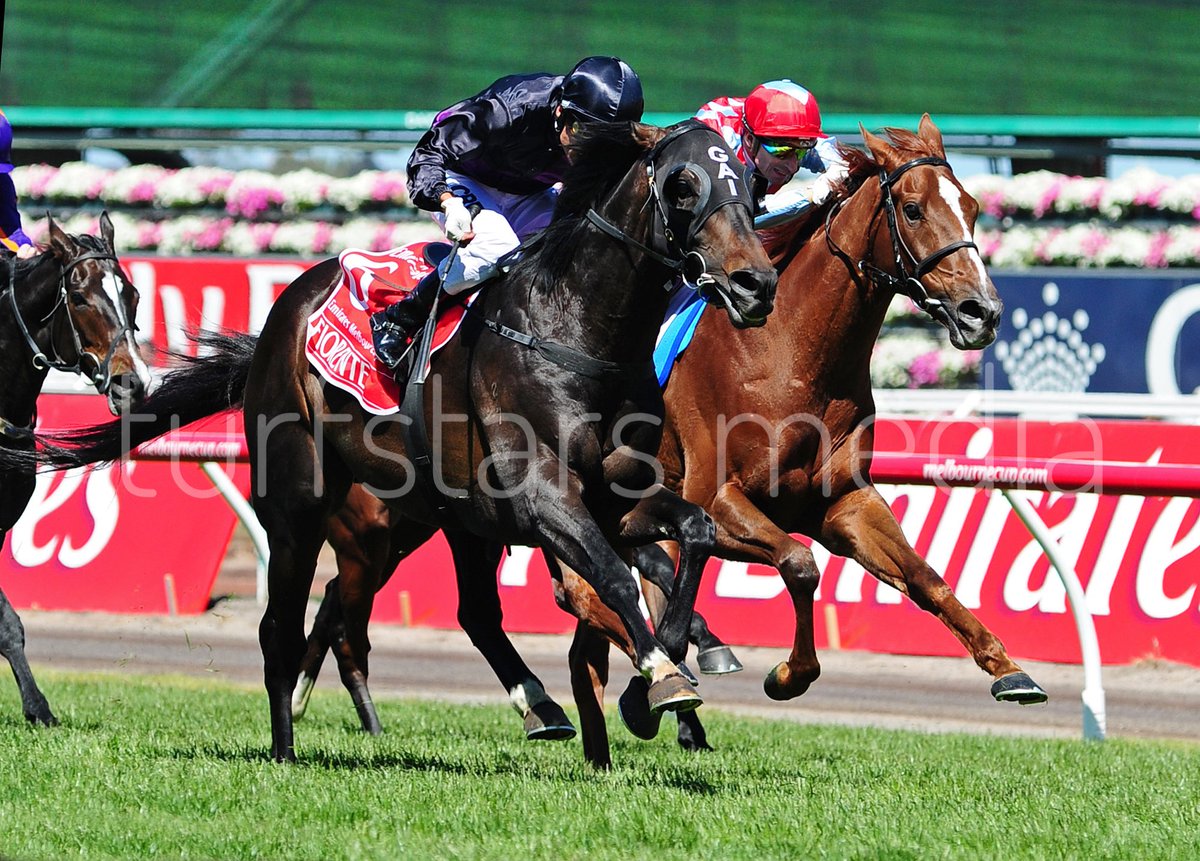 LisaGrimm9's tweet photo. 💜🖤 Rest easy big fella it was a special day indeed when you won on the first Tuesday in November 🏆 #2013

Thankyou for the memories #FIORENTE 

Thinking of everyone who worked with this talented stayer. 

@widdenstud https://t.co/klGEN4387c