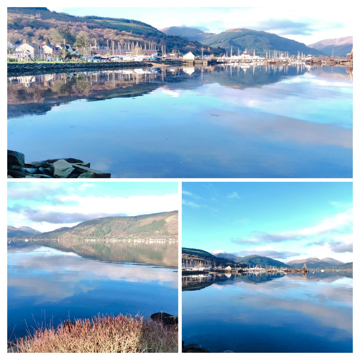 Holy Loch Coffee Shop tweet media